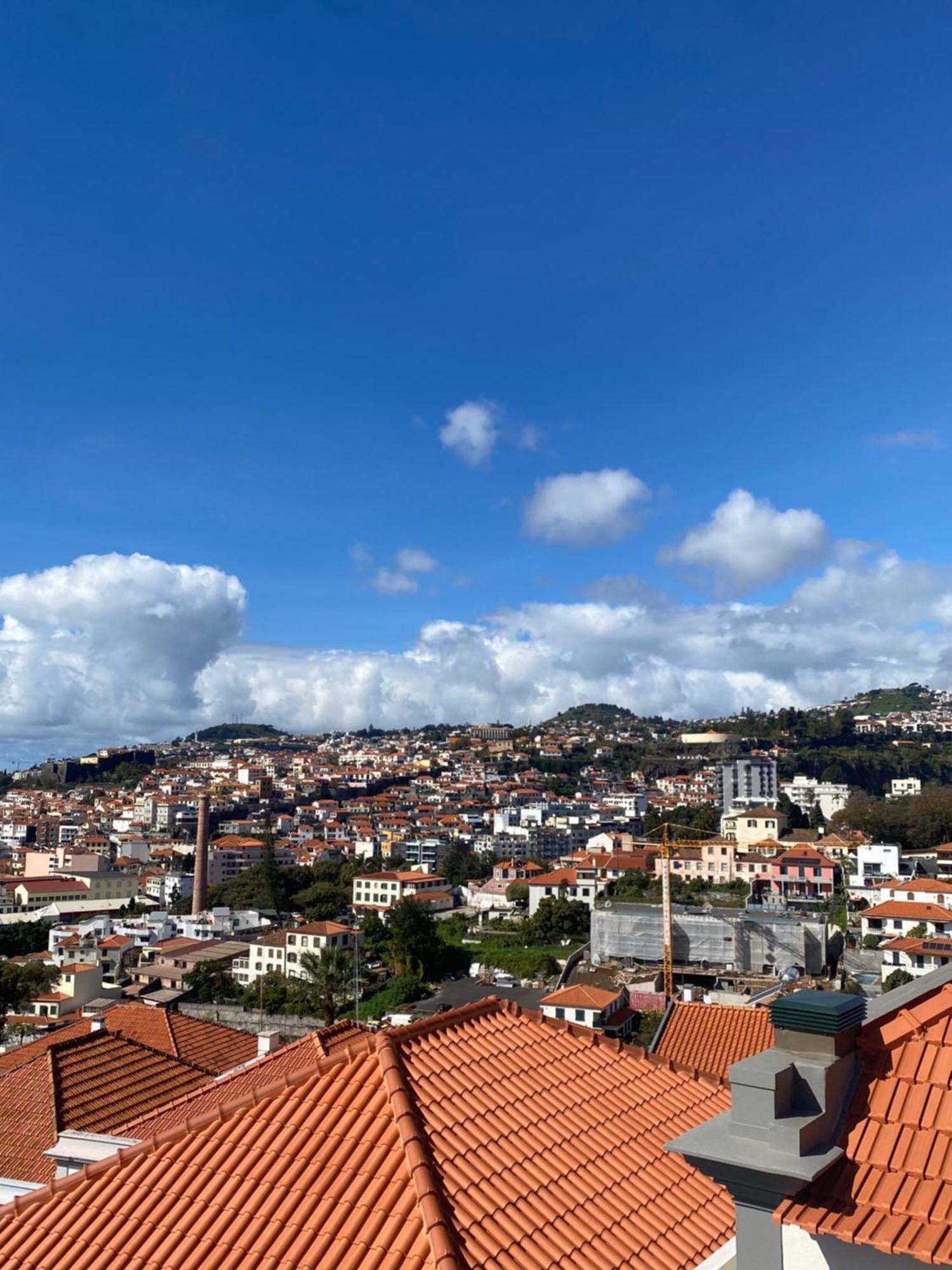 Valhalla Panorama - The Old Residencial Pina فونشال الغرفة الصورة